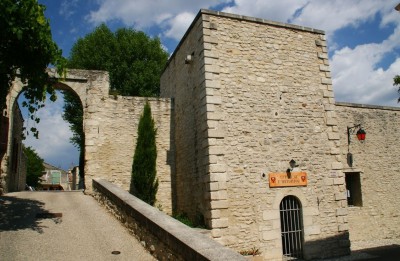 Découvrir Dauphin