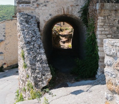 Découvrir Dauphin
