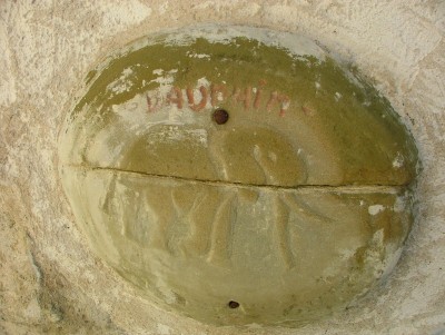 Découvrir Dauphin