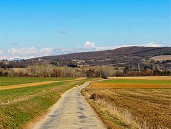 Chemin de Seynet