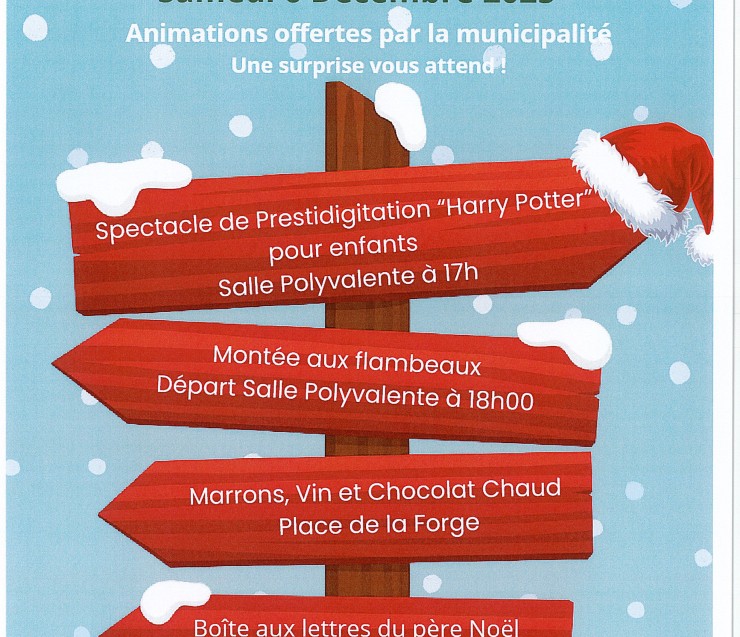 Illuminations de Noël